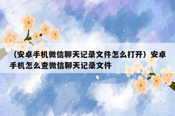 （安卓手机微信聊天记录文件怎么打开）安卓手机怎么查微信聊天记录文件