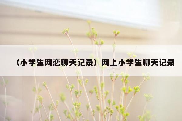 （小学生网恋聊天记录）网上小学生聊天记录