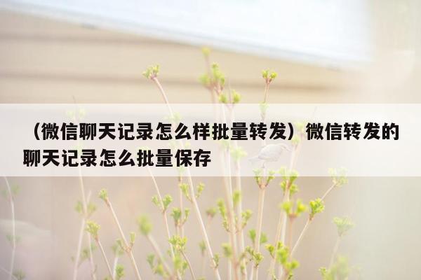 （微信聊天记录怎么样批量转发）微信转发的聊天记录怎么批量保存