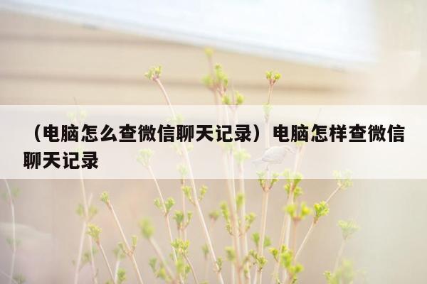 （电脑怎么查微信聊天记录）电脑怎样查微信聊天记录