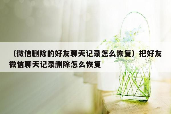 （微信删除的好友聊天记录怎么恢复）把好友微信聊天记录删除怎么恢复