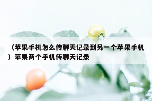 （苹果手机怎么传聊天记录到另一个苹果手机）苹果两个手机传聊天记录