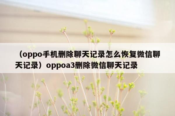 （oppo手机删除聊天记录怎么恢复微信聊天记录）oppoa3删除微信聊天记录