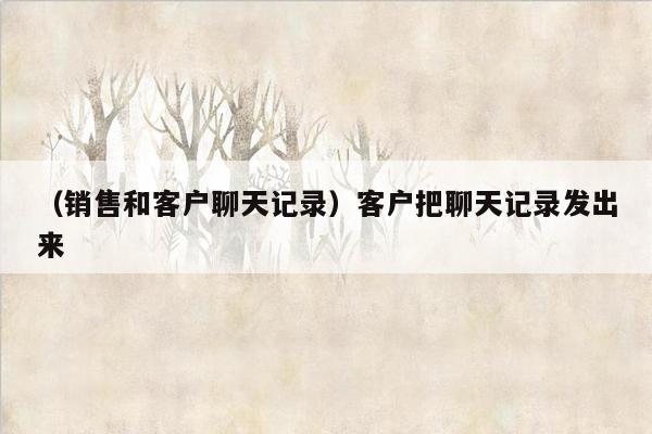 （销售和客户聊天记录）客户把聊天记录发出来