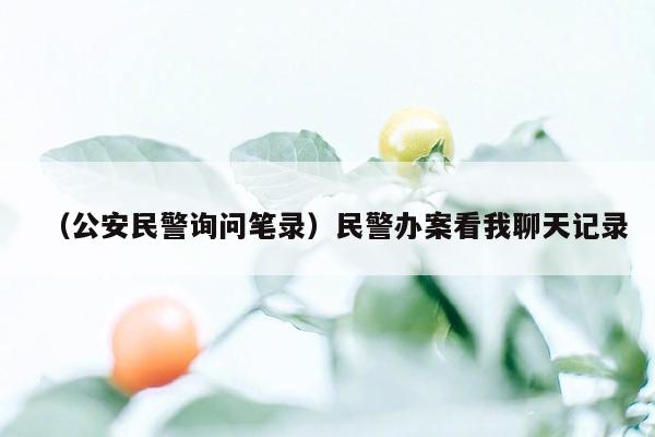 （公安民警询问笔录）民警办案看我聊天记录