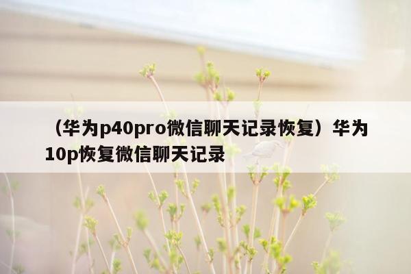 （华为p40pro微信聊天记录恢复）华为10p恢复微信聊天记录