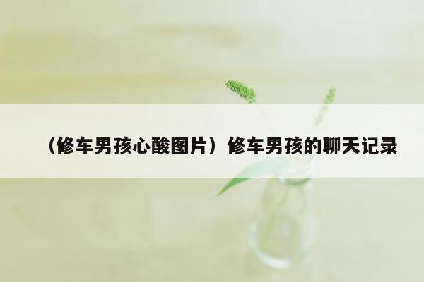 （修车男孩心酸图片）修车男孩的聊天记录