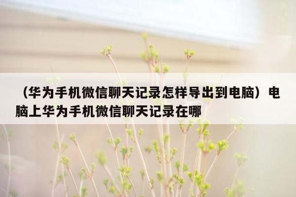 （华为手机微信聊天记录怎样导出到电脑）电脑上华为手机微信聊天记录在哪