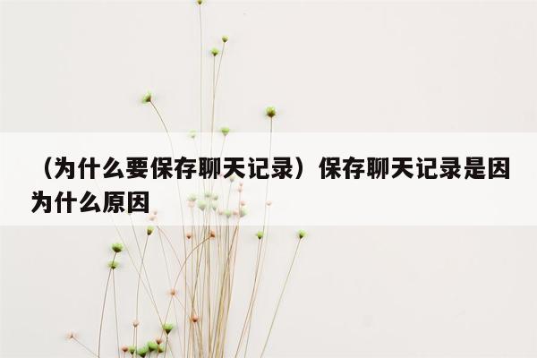 （为什么要保存聊天记录）保存聊天记录是因为什么原因