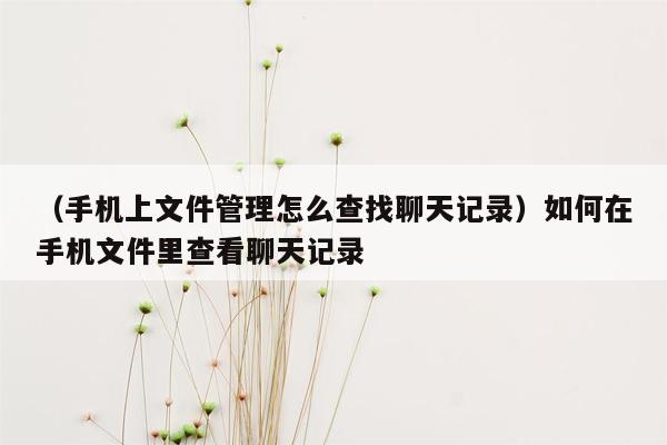 （手机上文件管理怎么查找聊天记录）如何在手机文件里查看聊天记录