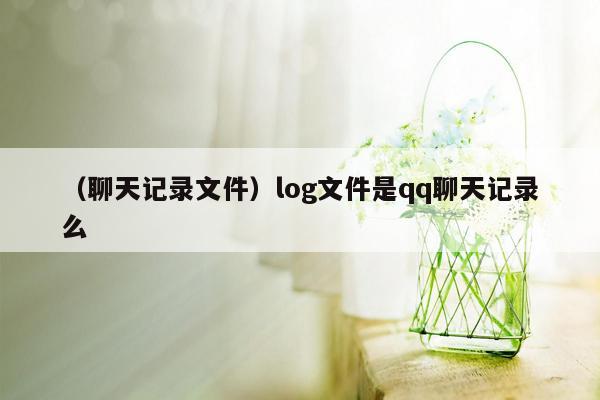 （聊天记录文件）log文件是qq聊天记录么