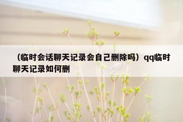 （临时会话聊天记录会自己删除吗）qq临时聊天记录如何删