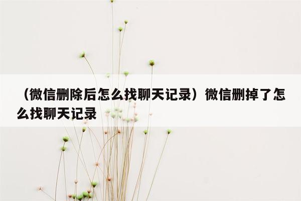 （微信删除后怎么找聊天记录）微信删掉了怎么找聊天记录