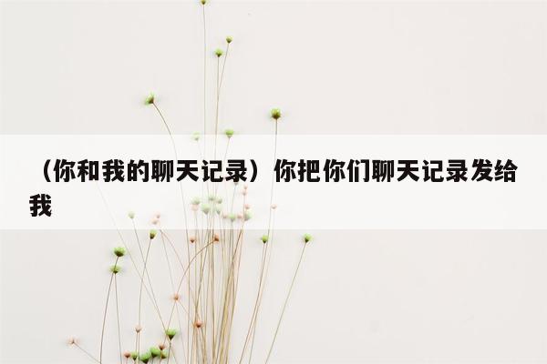 （你和我的聊天记录）你把你们聊天记录发给我