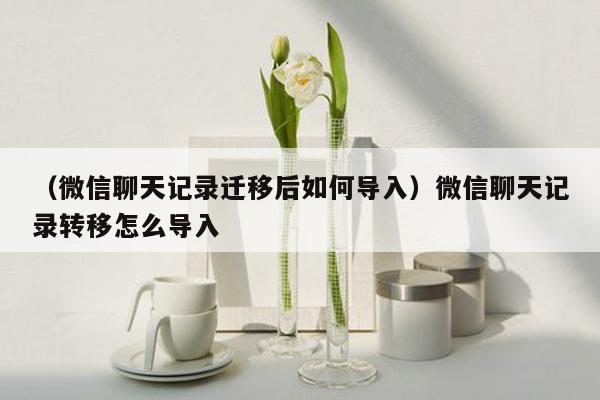 （微信聊天记录迁移后如何导入）微信聊天记录转移怎么导入