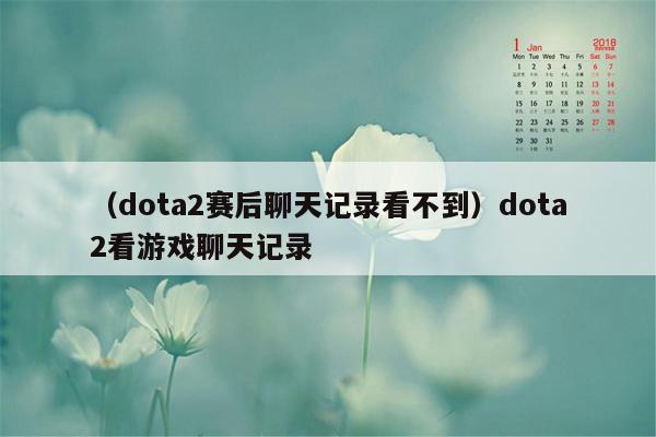 （dota2赛后聊天记录看不到）dota2看游戏聊天记录