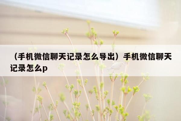 （手机微信聊天记录怎么导出）手机微信聊天记录怎么p