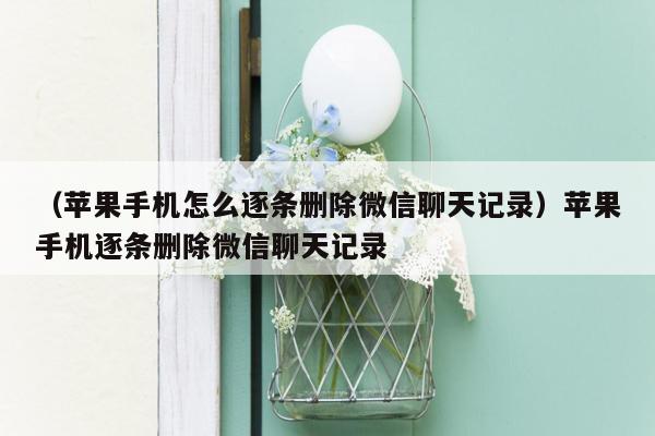 （苹果手机怎么逐条删除微信聊天记录）苹果手机逐条删除微信聊天记录