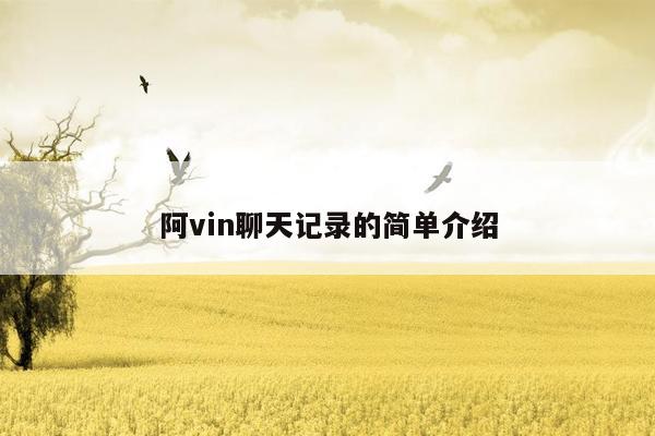 阿vin聊天记录的简单介绍