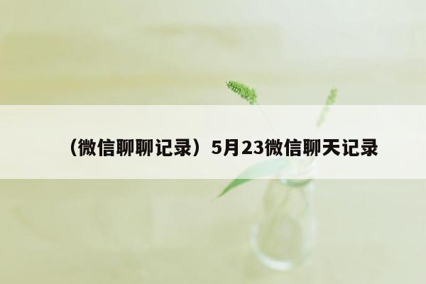 （微信聊聊记录）5月23微信聊天记录