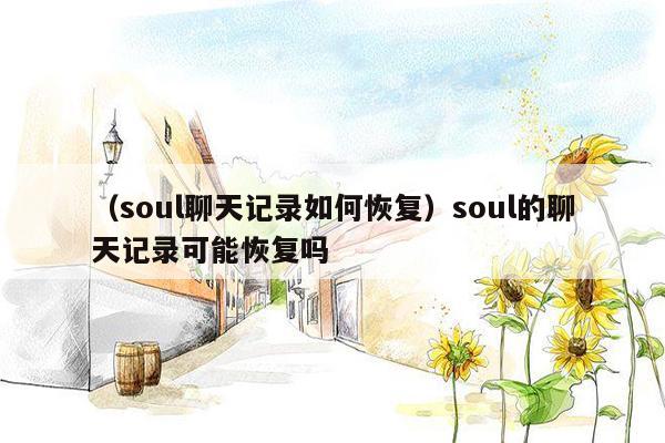 （soul聊天记录如何恢复）soul的聊天记录可能恢复吗