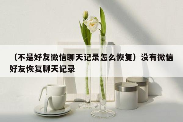 （不是好友微信聊天记录怎么恢复）没有微信好友恢复聊天记录