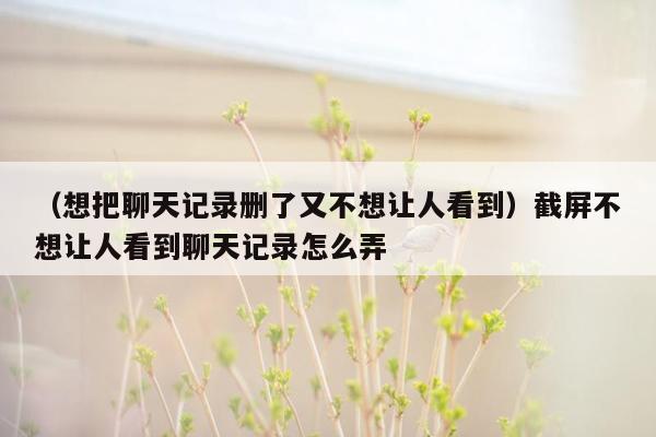 （想把聊天记录删了又不想让人看到）截屏不想让人看到聊天记录怎么弄