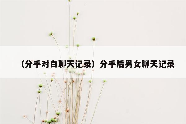 （分手对白聊天记录）分手后男女聊天记录