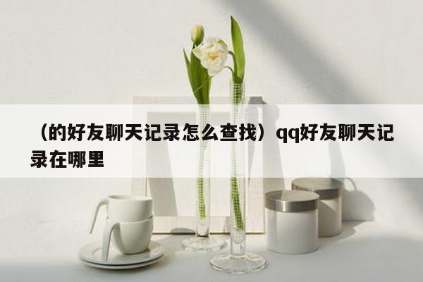 （的好友聊天记录怎么查找）qq好友聊天记录在哪里