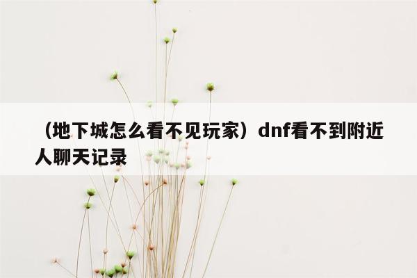 （地下城怎么看不见玩家）dnf看不到附近人聊天记录