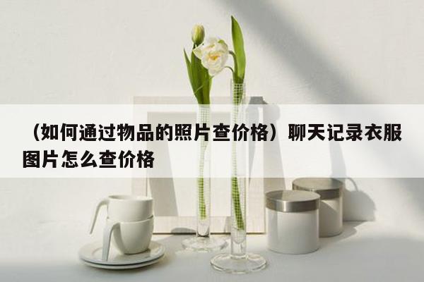 （如何通过物品的照片查价格）聊天记录衣服图片怎么查价格