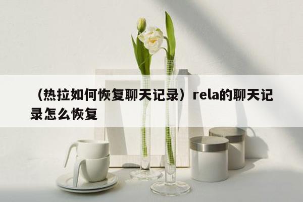 （热拉如何恢复聊天记录）rela的聊天记录怎么恢复