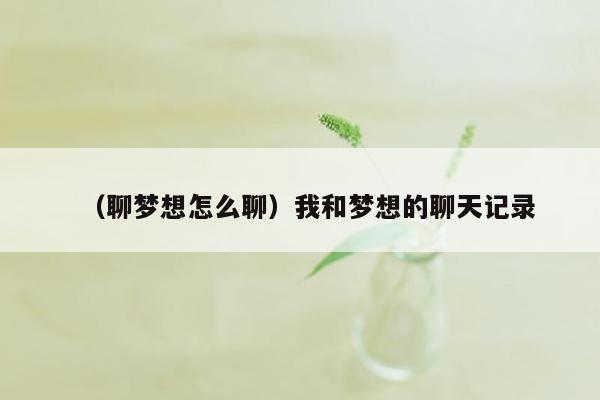 （聊梦想怎么聊）我和梦想的聊天记录