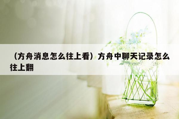 （方舟消息怎么往上看）方舟中聊天记录怎么往上翻