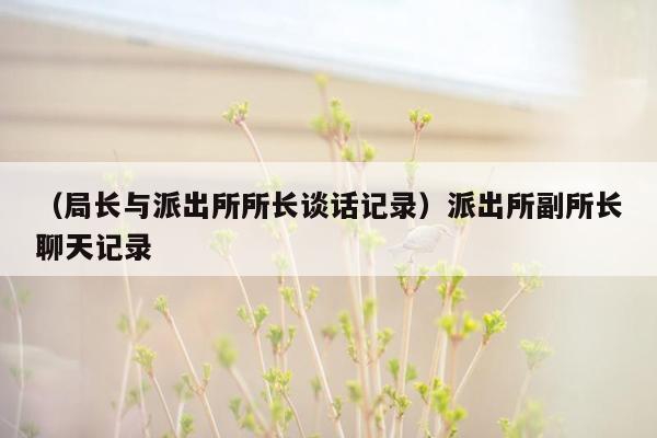 （局长与派出所所长谈话记录）派出所副所长聊天记录