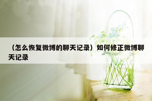 （怎么恢复微博的聊天记录）如何修正微博聊天记录