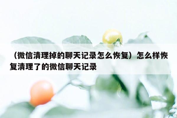 （微信清理掉的聊天记录怎么恢复）怎么样恢复清理了的微信聊天记录