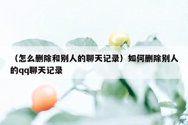 （怎么删除和别人的聊天记录）如何删除别人的qq聊天记录