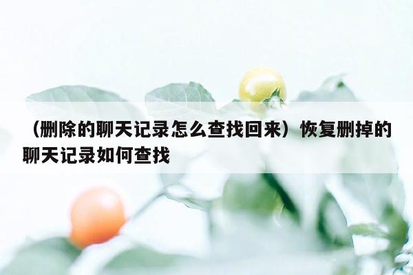 （删除的聊天记录怎么查找回来）恢复删掉的聊天记录如何查找