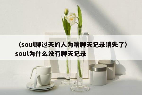 （soul聊过天的人为啥聊天记录消失了）soul为什么没有聊天记录