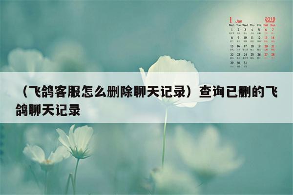 （飞鸽客服怎么删除聊天记录）查询已删的飞鸽聊天记录