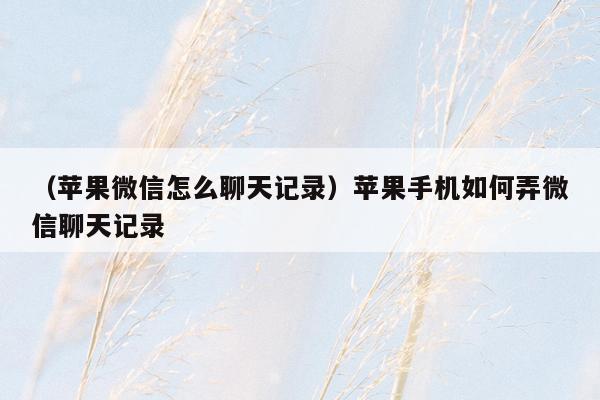 （苹果微信怎么聊天记录）苹果手机如何弄微信聊天记录