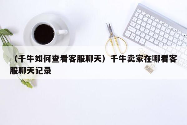 （千牛如何查看客服聊天）千牛卖家在哪看客服聊天记录