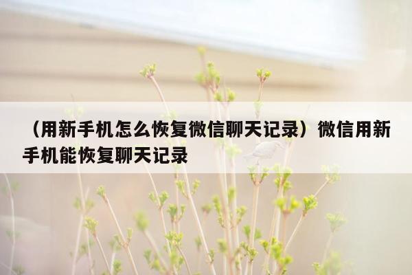 （用新手机怎么恢复微信聊天记录）微信用新手机能恢复聊天记录