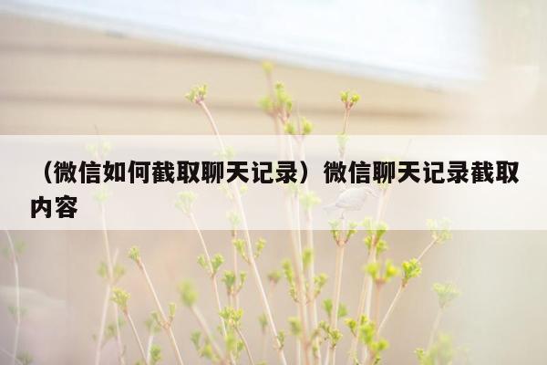 （微信如何截取聊天记录）微信聊天记录截取内容