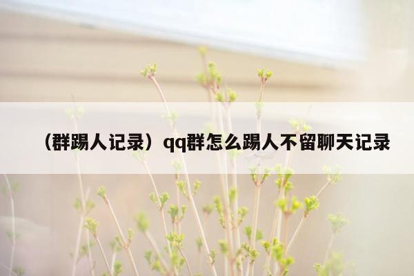 （群踢人记录）qq群怎么踢人不留聊天记录