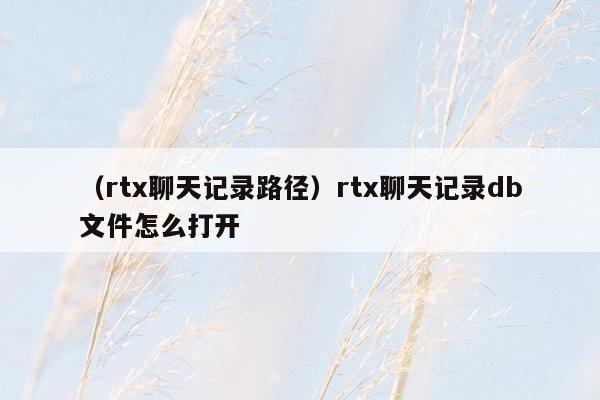 （rtx聊天记录路径）rtx聊天记录db文件怎么打开