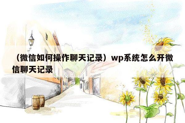 （微信如何操作聊天记录）wp系统怎么开微信聊天记录