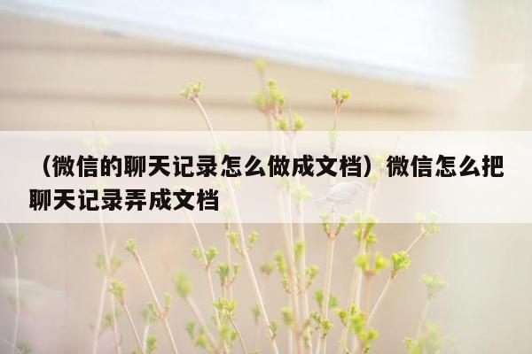 （微信的聊天记录怎么做成文档）微信怎么把聊天记录弄成文档