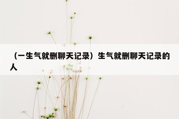 （一生气就删聊天记录）生气就删聊天记录的人